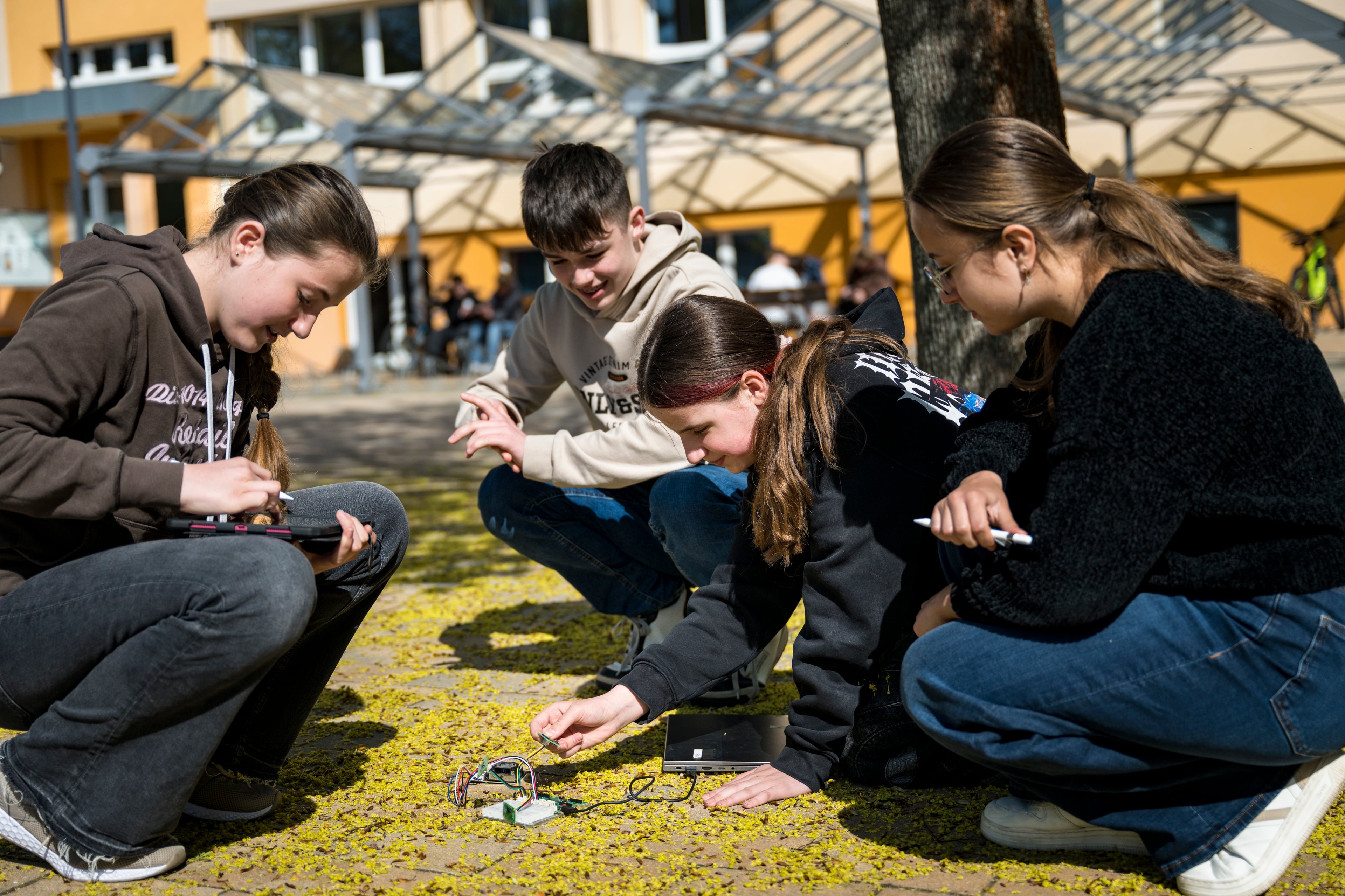 Mobiles Futurium am 21. April 2026 am Berthold Brecht Gymnasium in Bad Freienwald in Berlin.
Workshop Make Sense! - Mit der Sensebox Umweltdaten sammeln und verstehen
Foto: Stefanie Loos | Futurium